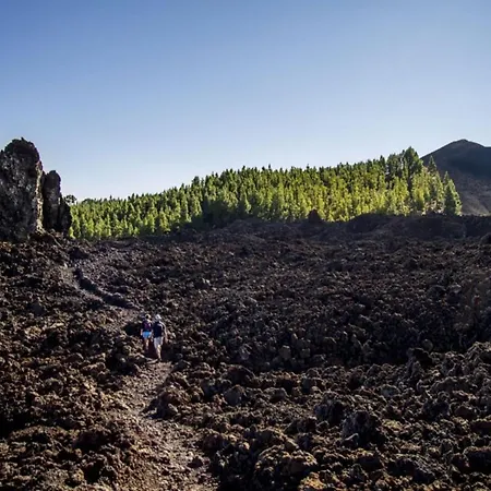 Sagittarius Prázdninový dům