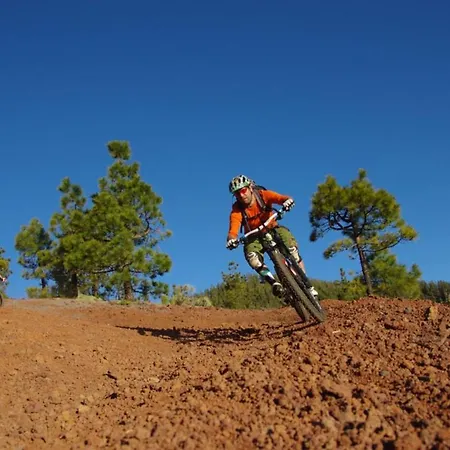 Sagittarius Arico Viejo