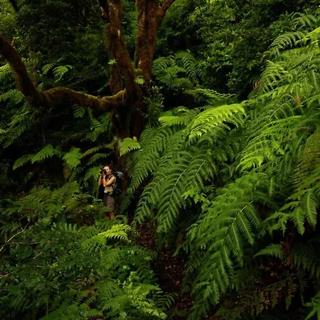 Sagittarius 度假居 Arico Viejo